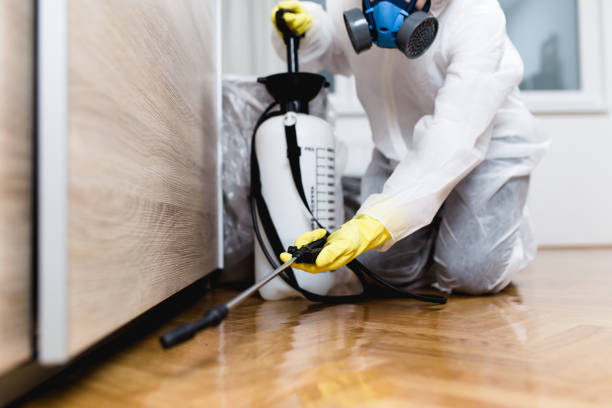 Best Local Pest Control Services  in Chagrin Falls, OH