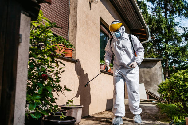 Best Affordable Pest Control Services  in Chagrin Falls, OH