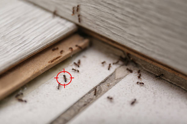 Pest Control for Restaurants in Chagrin Falls, OH