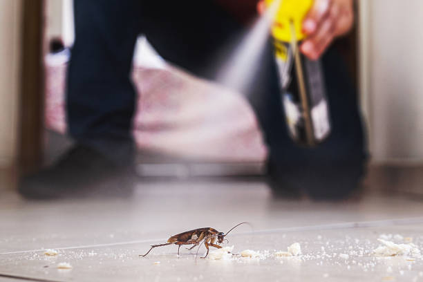 Best Pest Inspection Near Me  in Chagrin Falls, OH