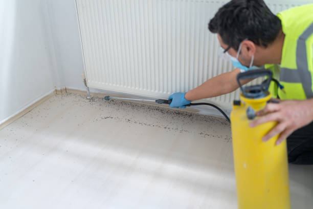 Best Residential Pest Control  in Chagrin Falls, OH
