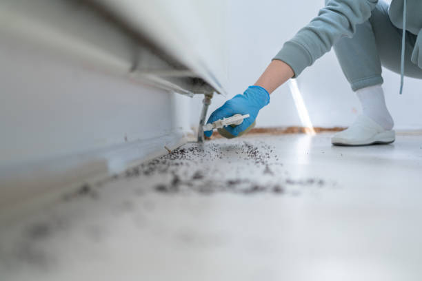 Pest Prevention Services in Chagrin Falls, OH