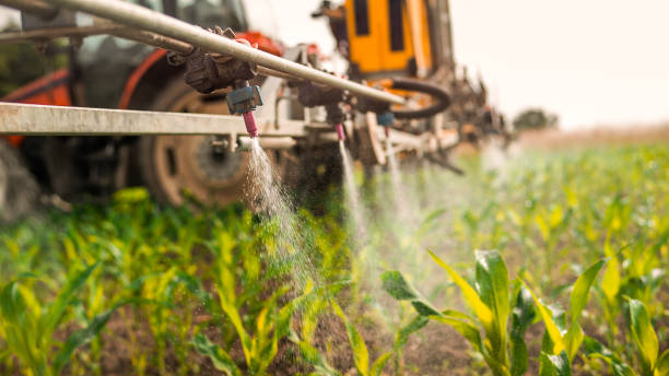 Best Ant Control Services  in Chagrin Falls, OH