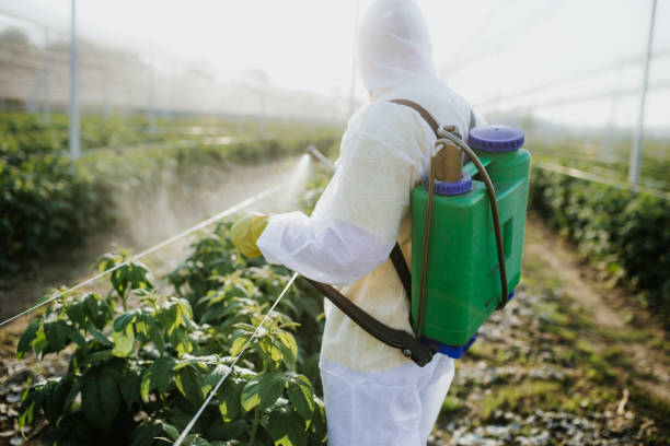 Best Pest Removal Services  in Chagrin Falls, OH